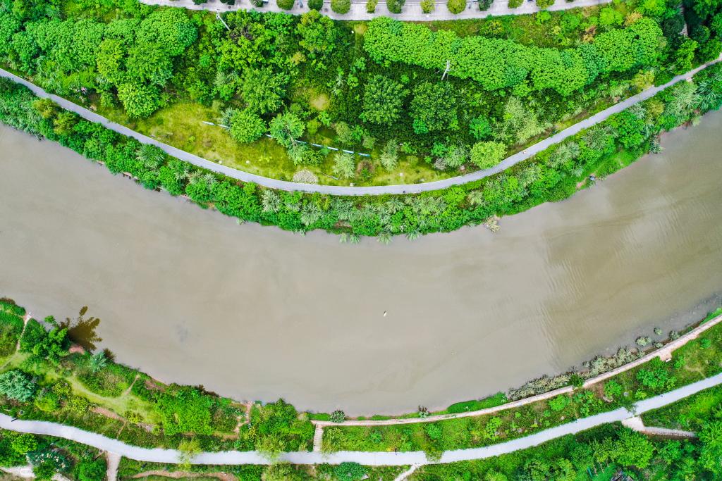 决胜“十四五” 打好收官战丨重庆农村黑臭水体的蜕变之路